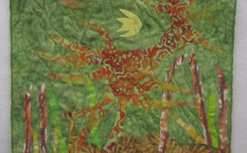 Sea Dragons? Who Doesn’t Love Them?