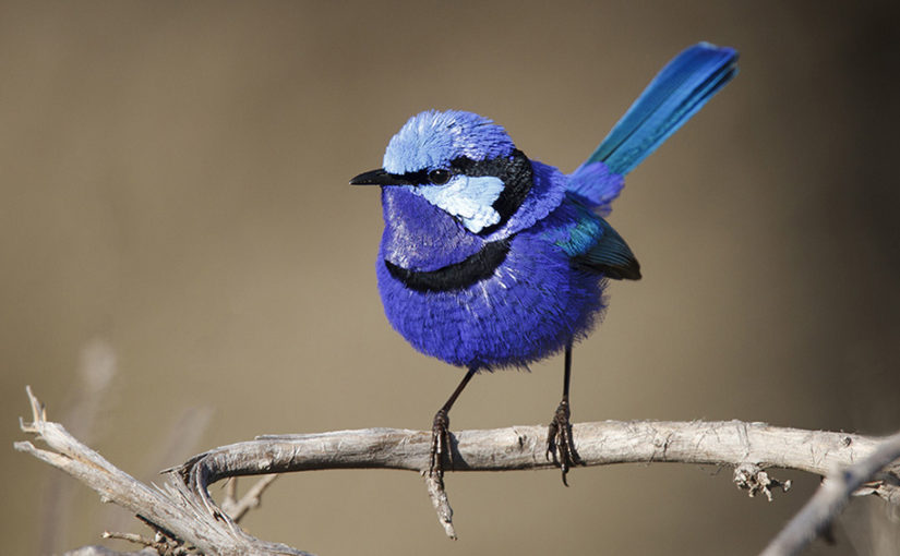 How I Found Inspiration for an Abstract Art Quilt